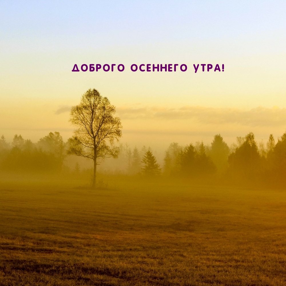 Хостинг картинок yapx.ru