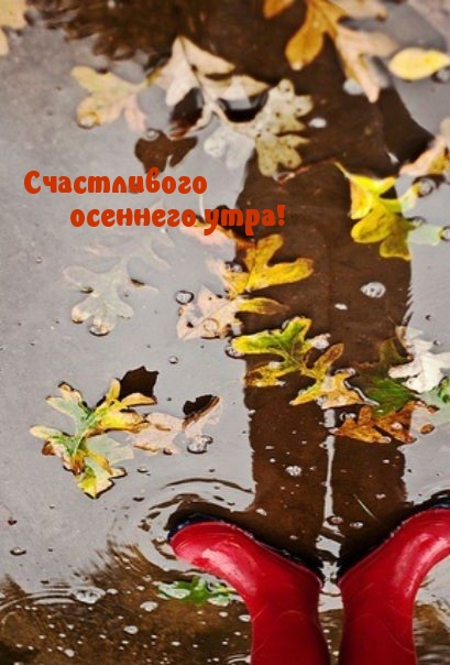 Хостинг картинок yapx.ru