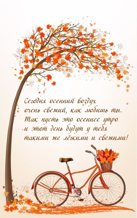 Хостинг картинок yapx.ru