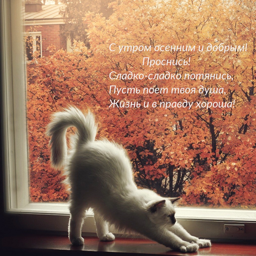 Хостинг картинок yapx.ru