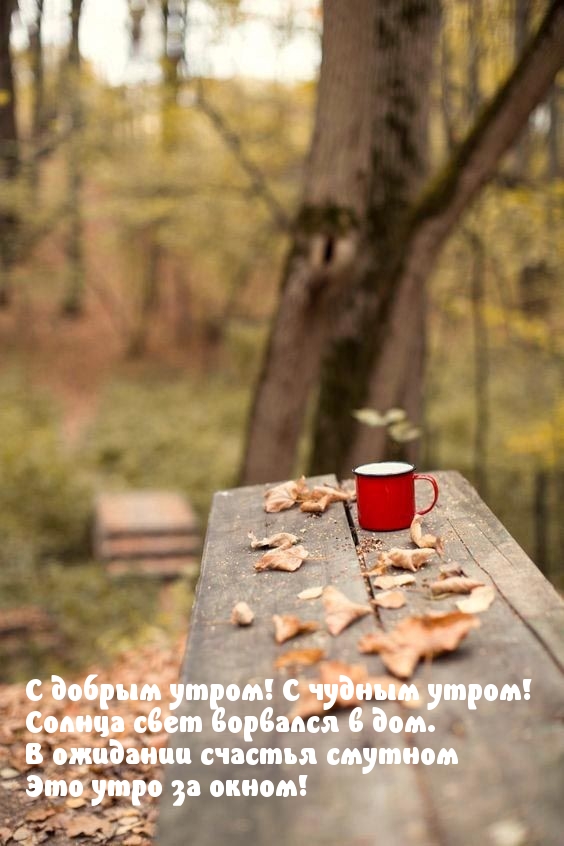 Хостинг картинок yapx.ru