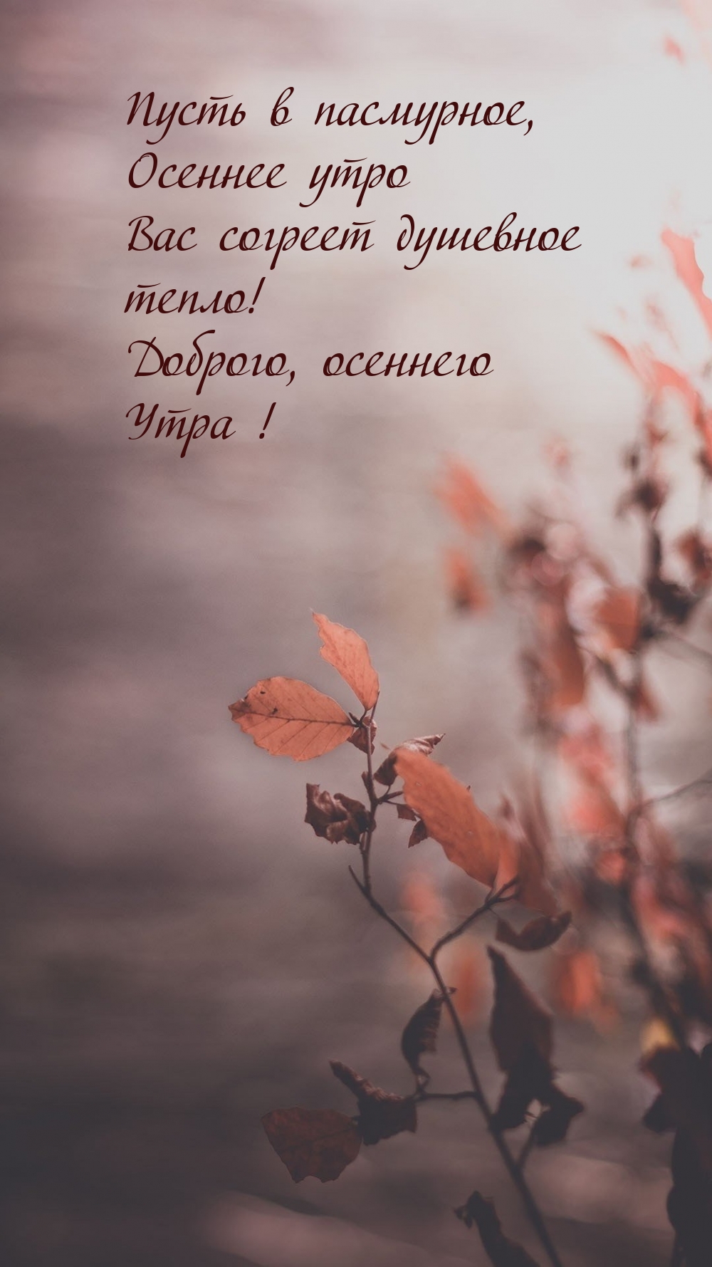 Хостинг картинок yapx.ru