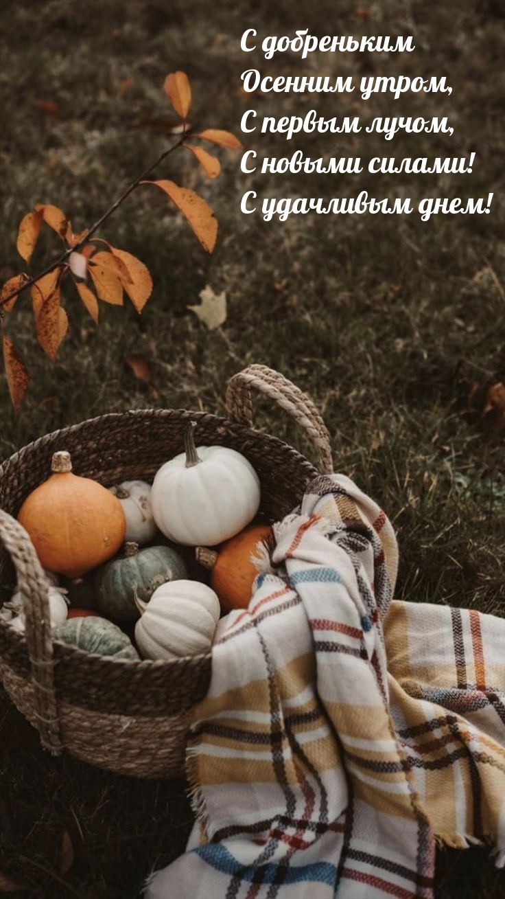 Хостинг картинок yapx.ru