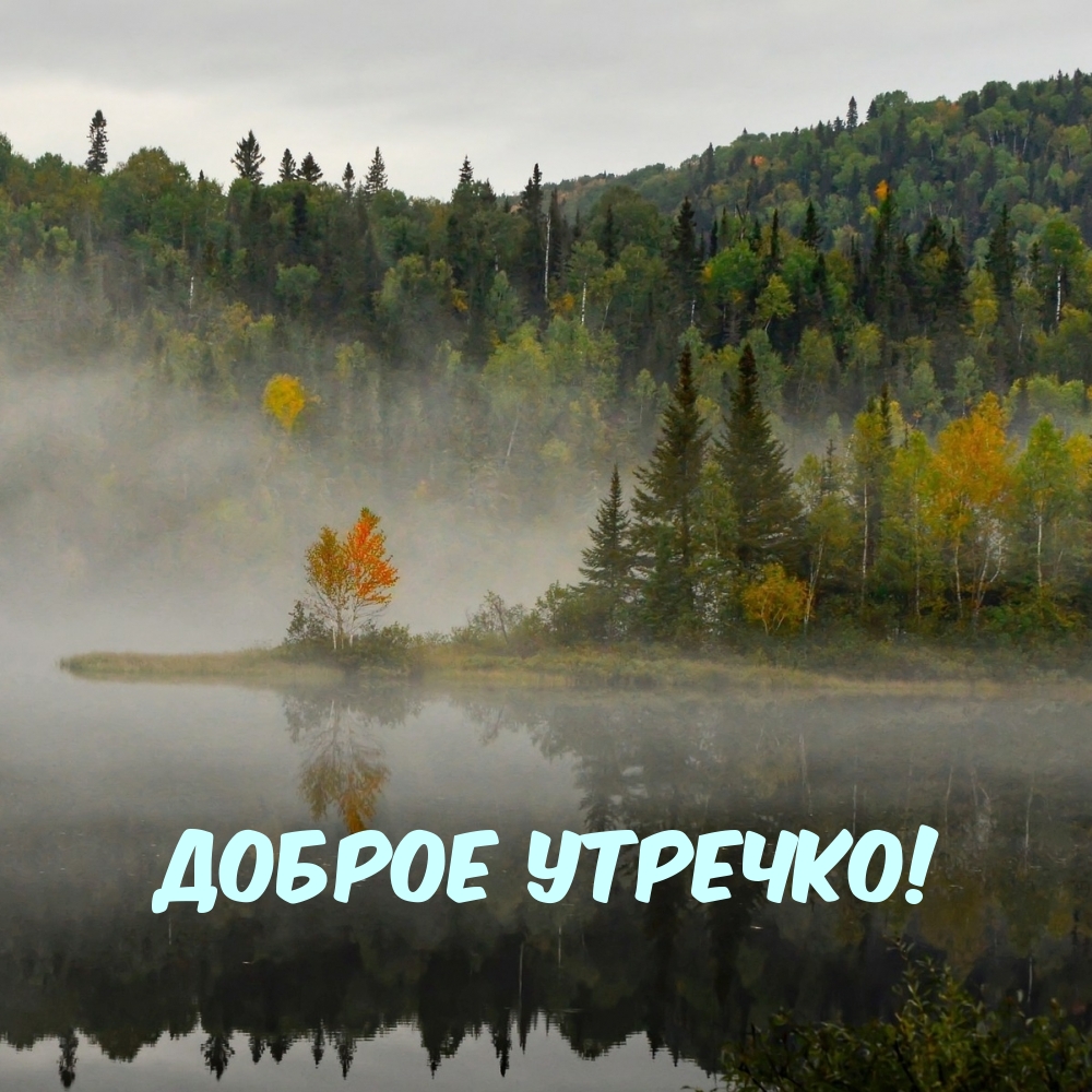 Хостинг картинок yapx.ru