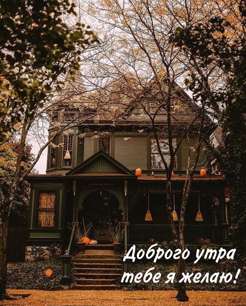 Хостинг картинок yapx.ru