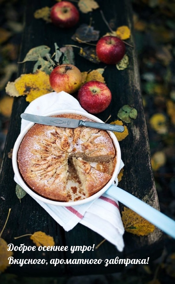 Хостинг картинок yapx.ru