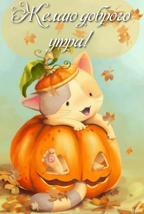 Хостинг картинок yapx.ru