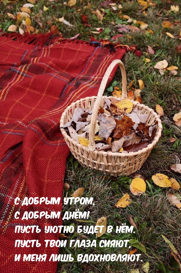 Хостинг картинок yapx.ru