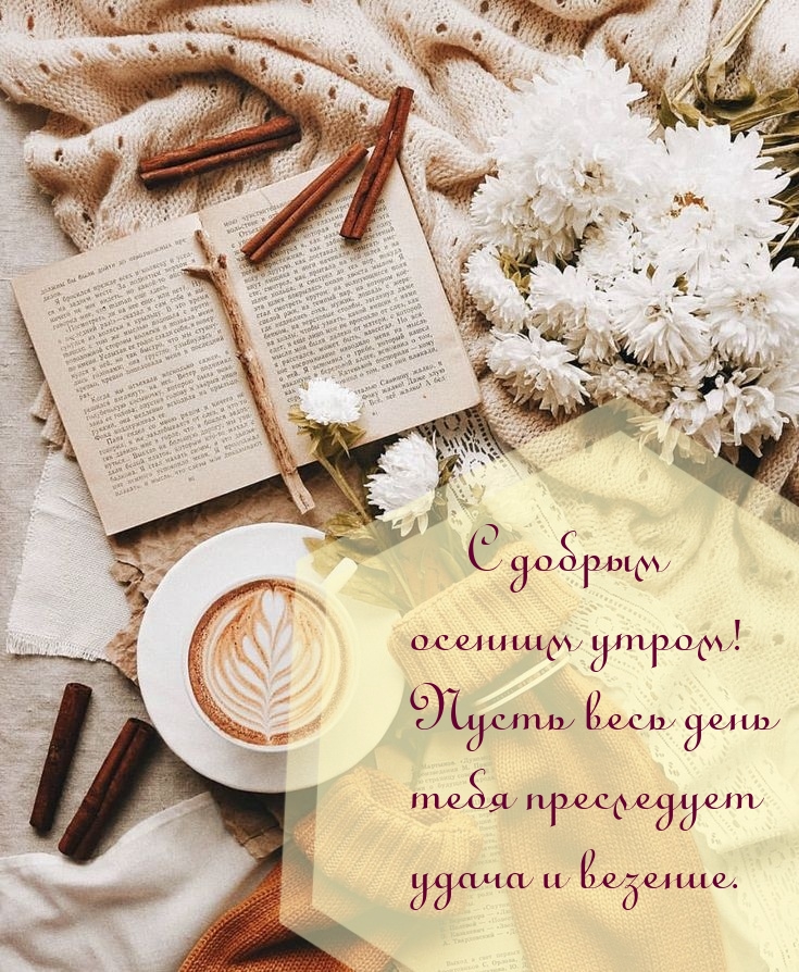 Хостинг картинок yapx.ru