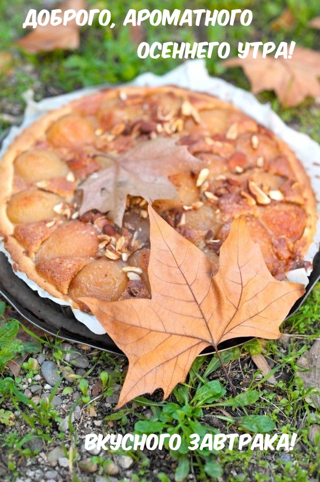 Хостинг картинок yapx.ru