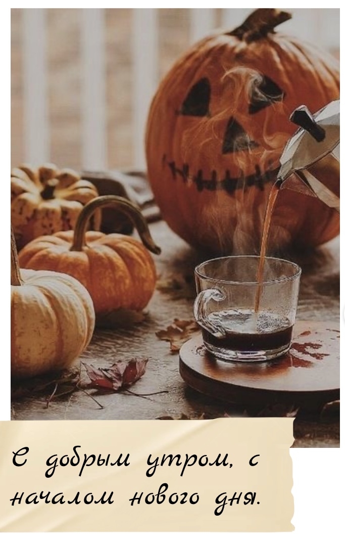 Хостинг картинок yapx.ru