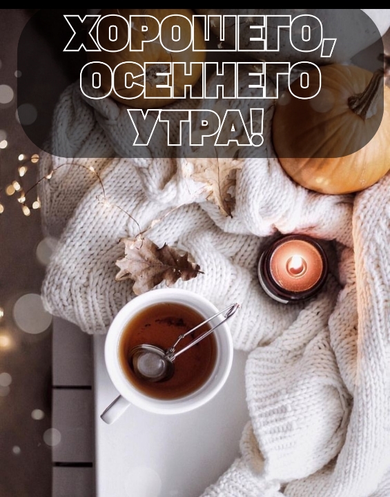 Хостинг картинок yapx.ru