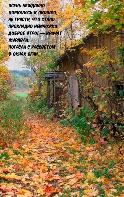 Хостинг картинок yapx.ru