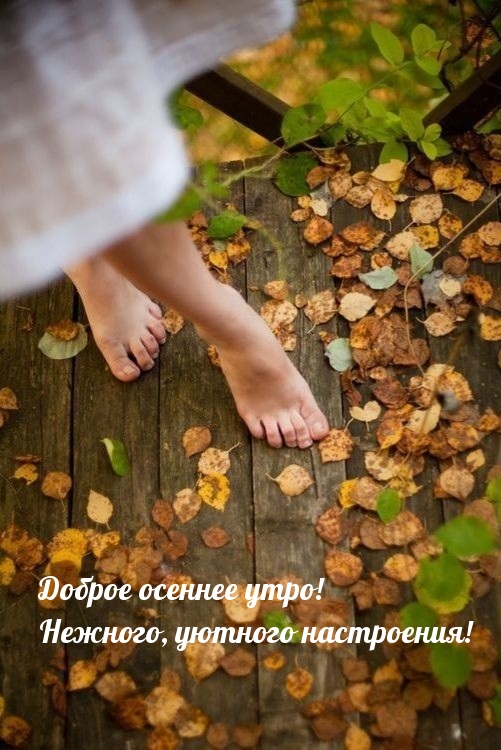 Хостинг картинок yapx.ru