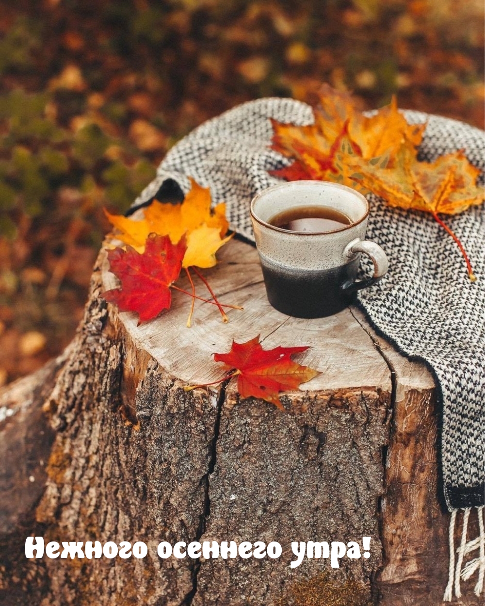 Хостинг картинок yapx.ru