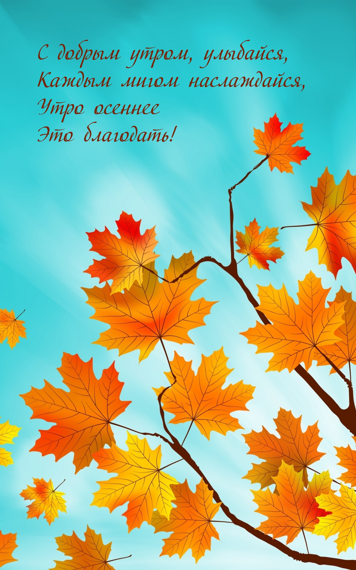 Хостинг картинок yapx.ru