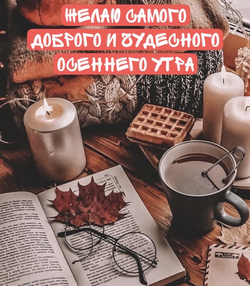 Хостинг картинок yapx.ru