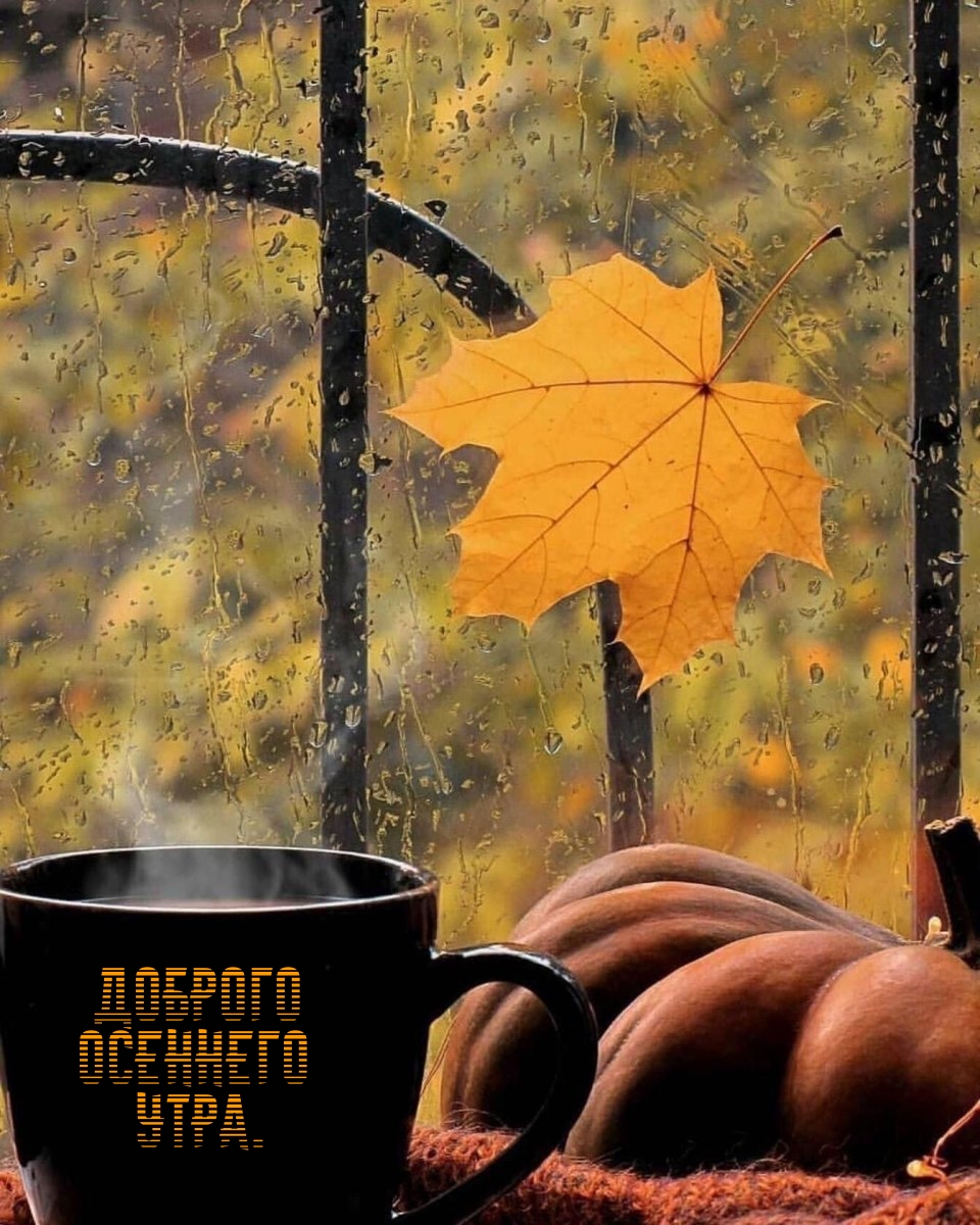 Хостинг картинок yapx.ru