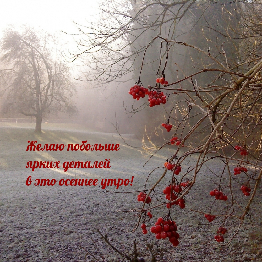 Хостинг картинок yapx.ru