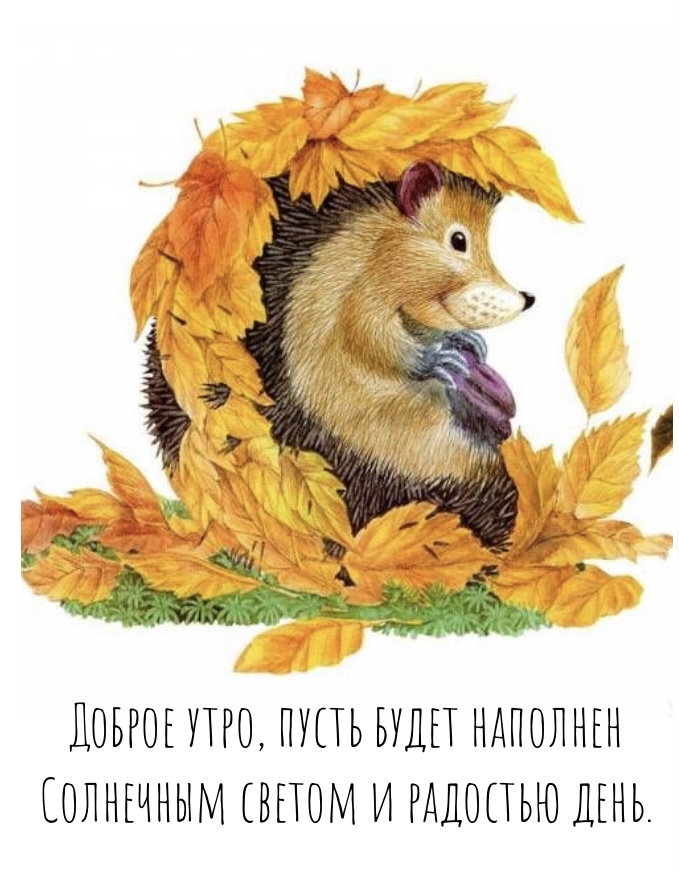 Хостинг картинок yapx.ru