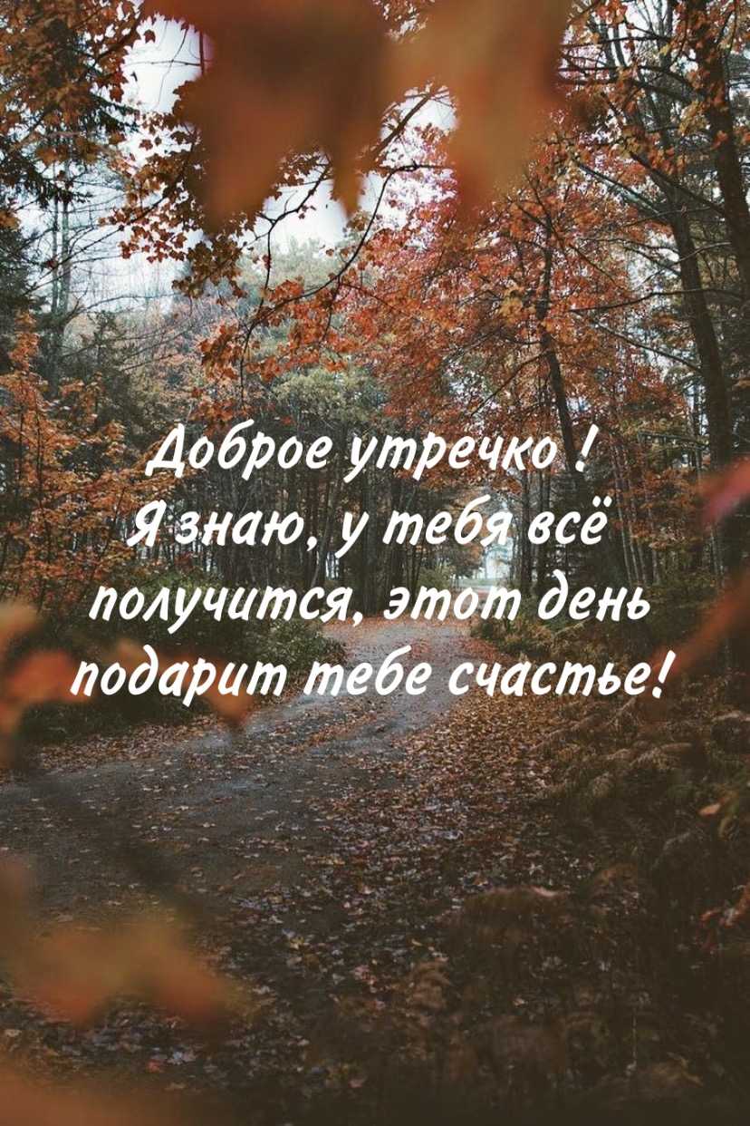 Хостинг картинок yapx.ru