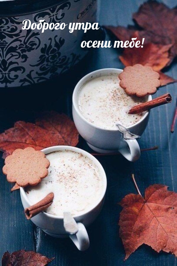 Хостинг картинок yapx.ru