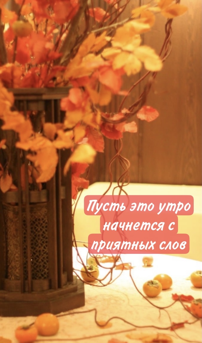 Хостинг картинок yapx.ru