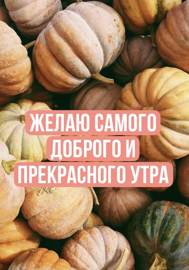 Хостинг картинок yapx.ru