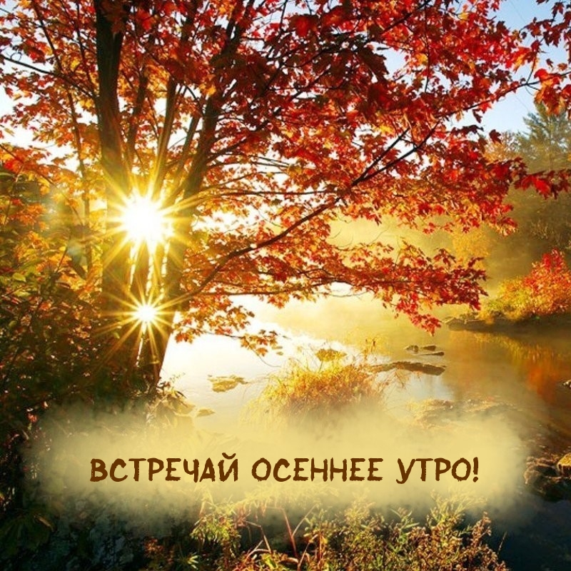 Хостинг картинок yapx.ru