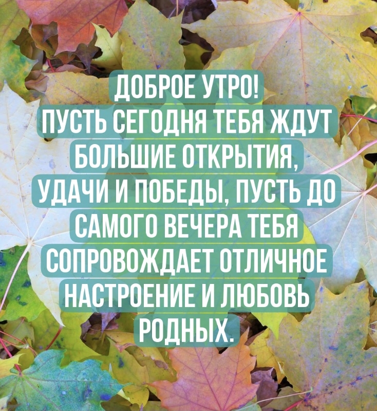 Хостинг картинок yapx.ru