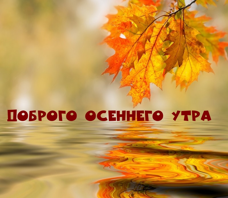 Хостинг картинок yapx.ru