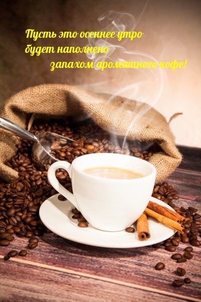 Хостинг картинок yapx.ru