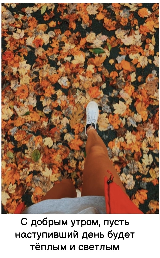 Хостинг картинок yapx.ru