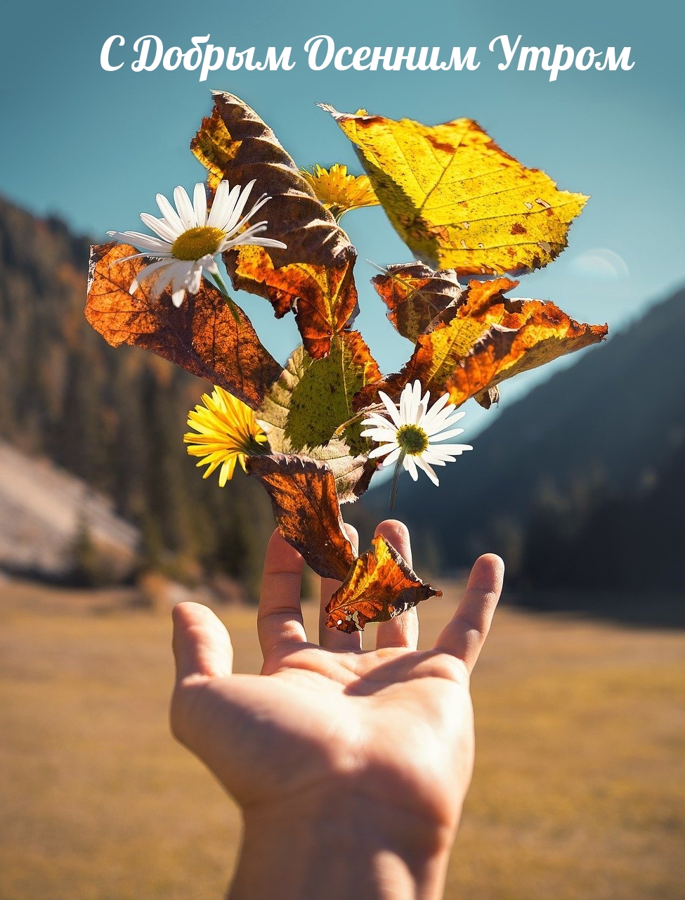 Хостинг картинок yapx.ru