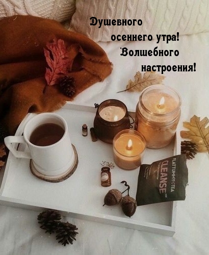 Хостинг картинок yapx.ru