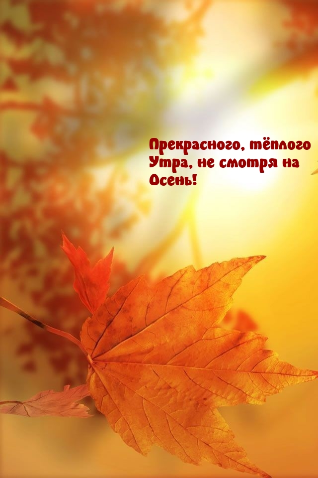 Хостинг картинок yapx.ru