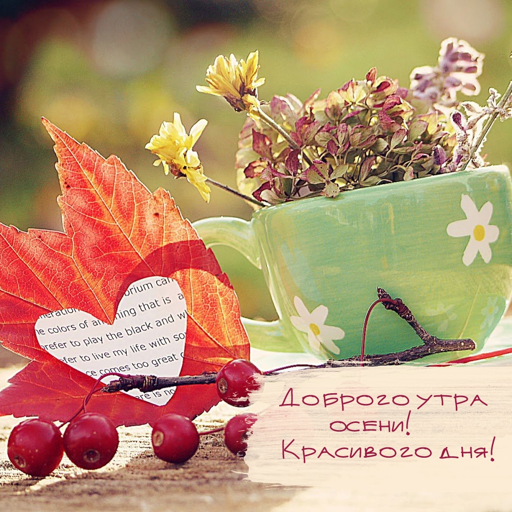 Хостинг картинок yapx.ru