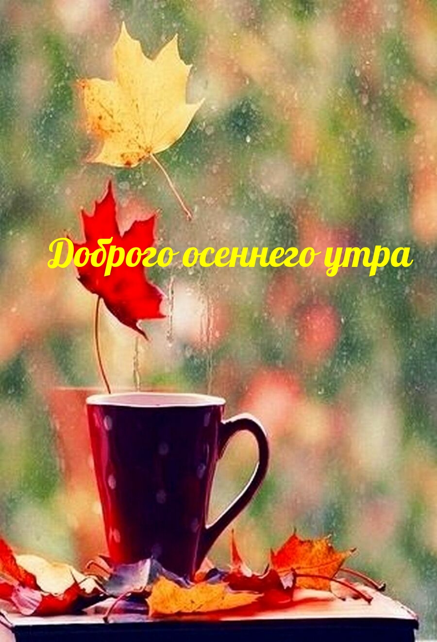 Хостинг картинок yapx.ru