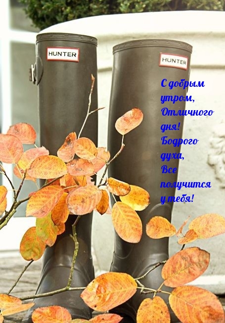 Хостинг картинок yapx.ru