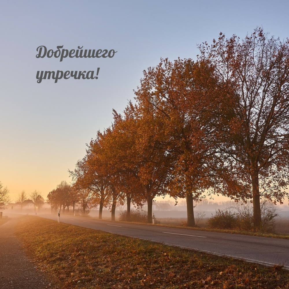 Хостинг картинок yapx.ru