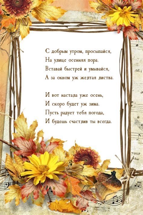 Хостинг картинок yapx.ru