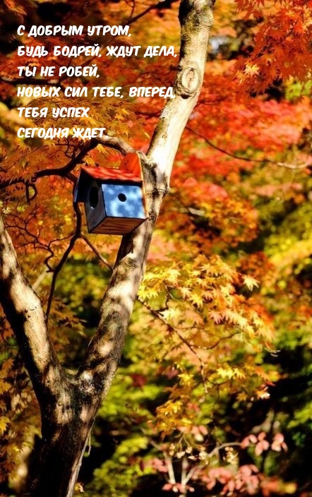 Хостинг картинок yapx.ru