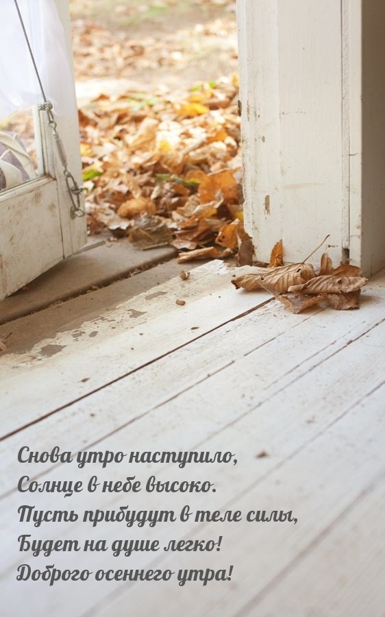 Хостинг картинок yapx.ru