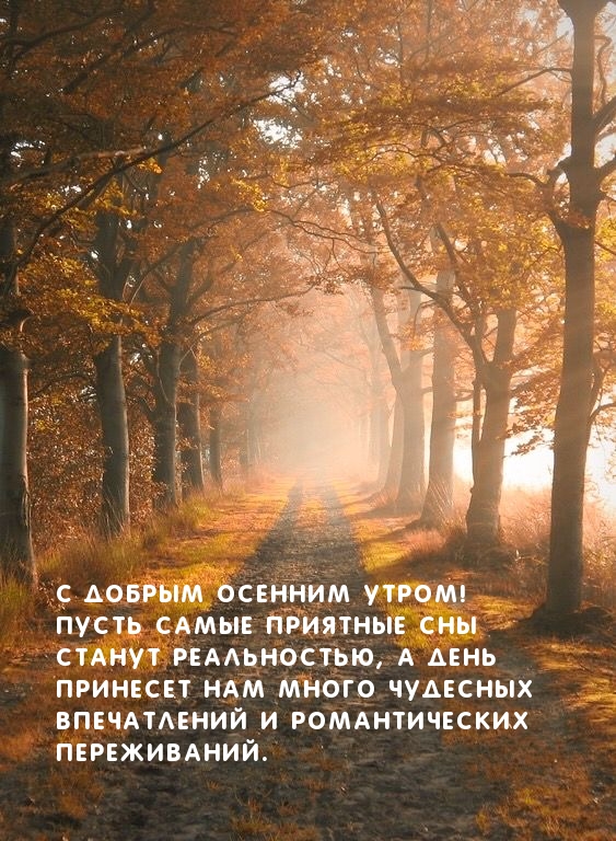 Хостинг картинок yapx.ru