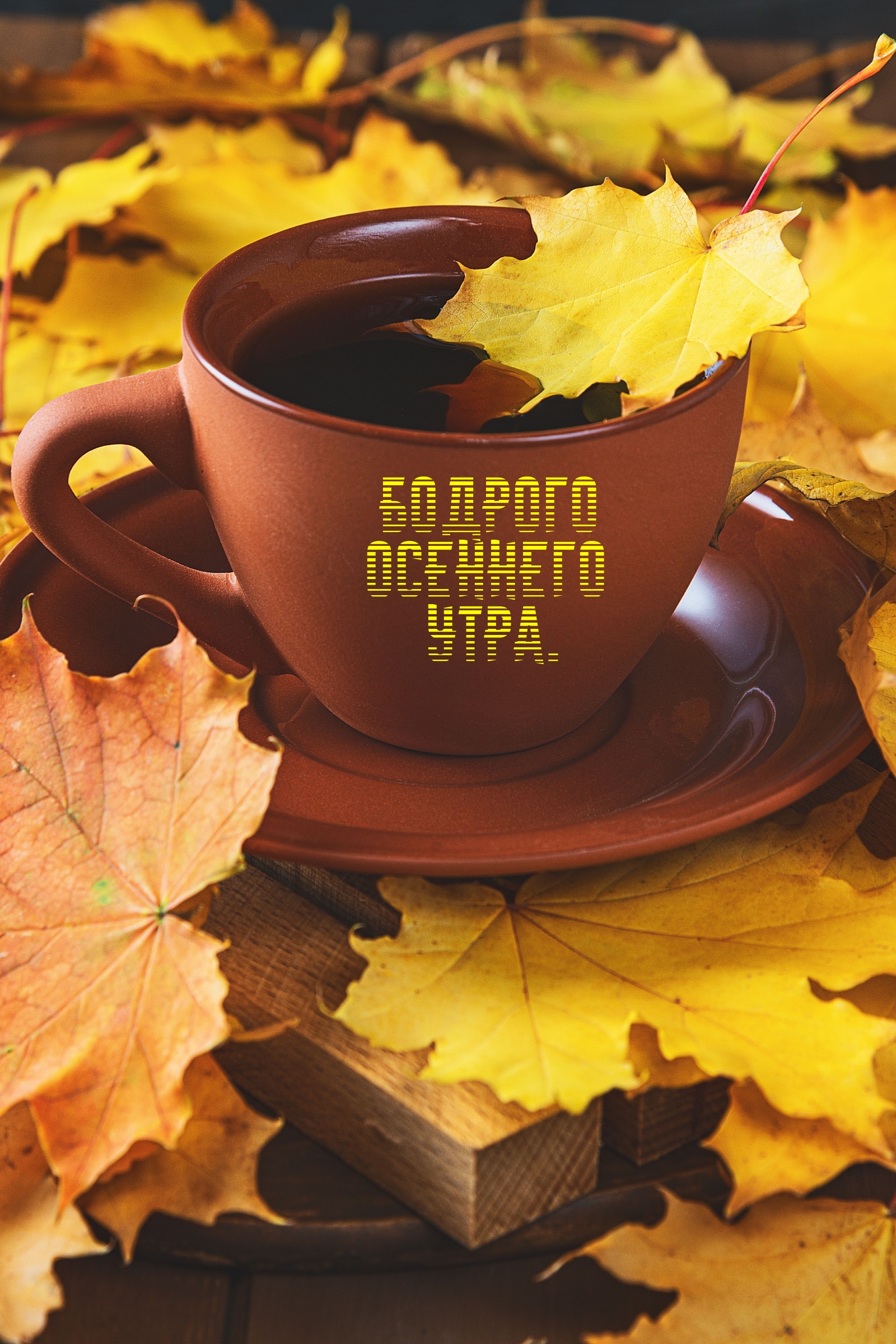 Хостинг картинок yapx.ru