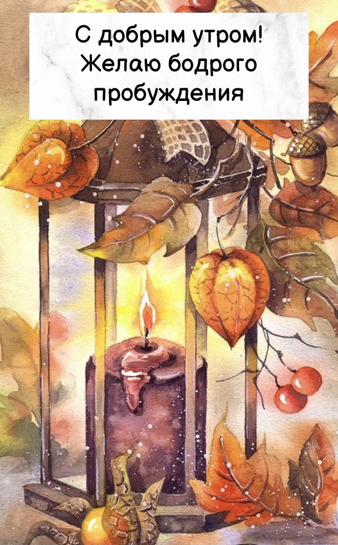 Хостинг картинок yapx.ru