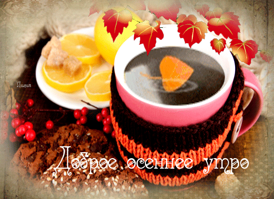 Хостинг картинок yapx.ru