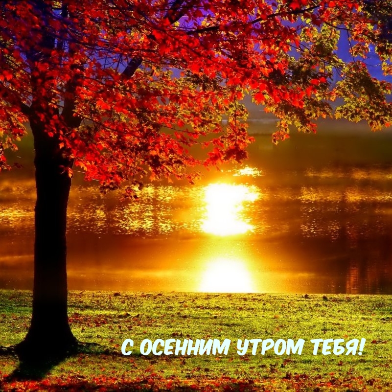 Хостинг картинок yapx.ru