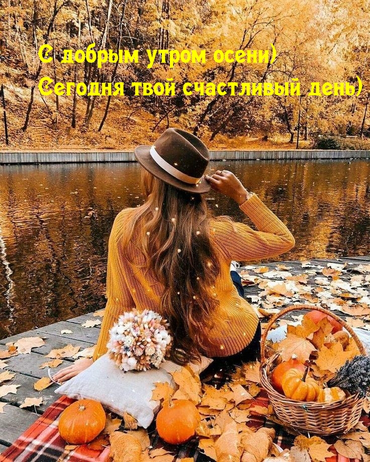 Хостинг картинок yapx.ru