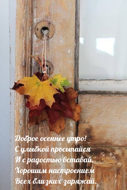 Хостинг картинок yapx.ru